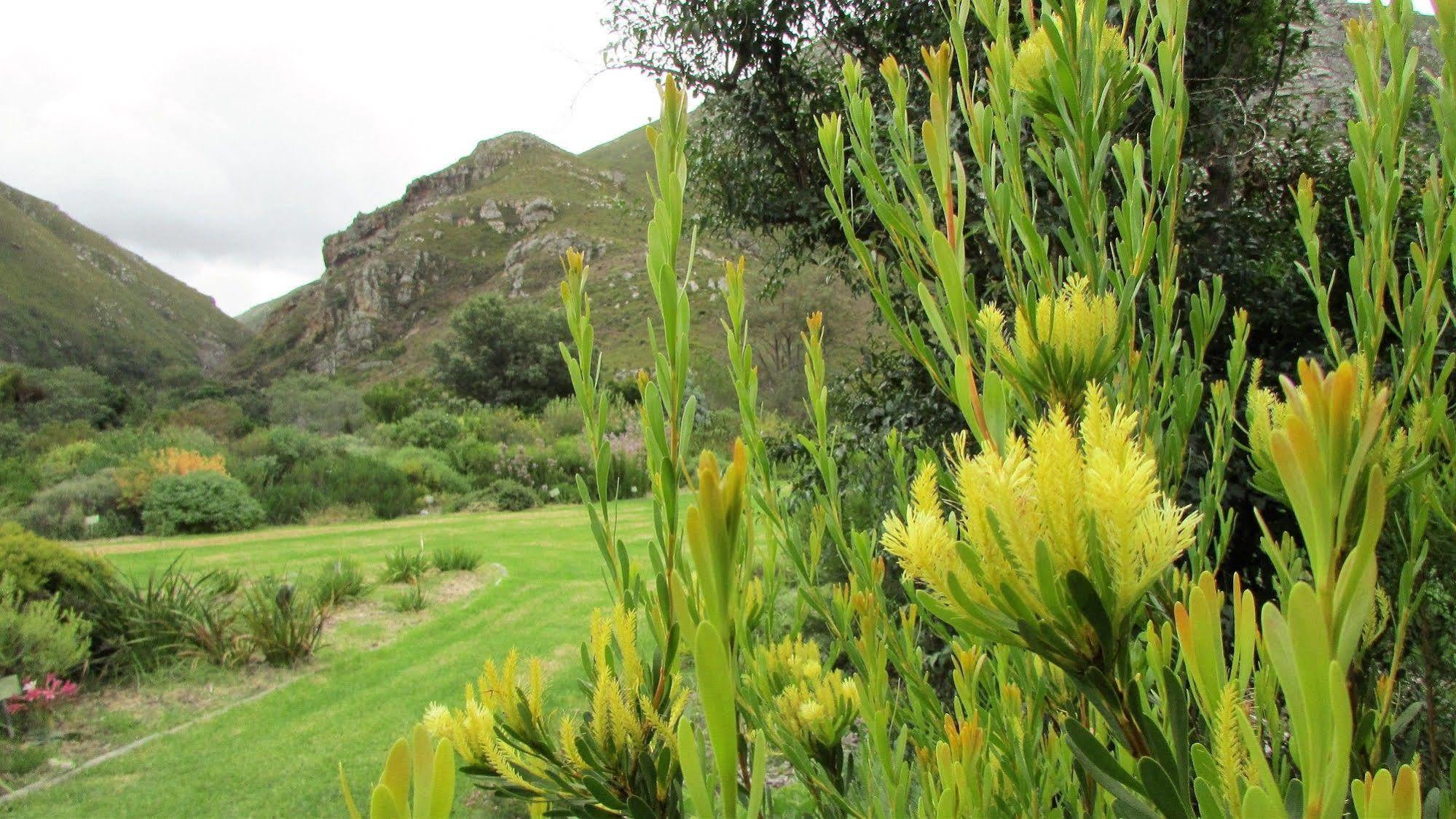 Bucaco Sud Guest House Bettyʼs Bay Exterior foto